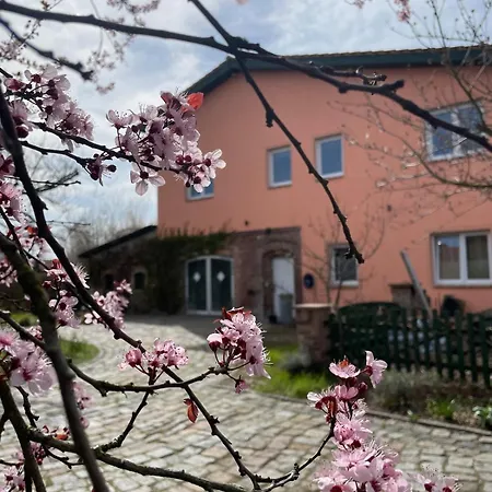 2 Km An Der A9 Naehe Potsdam Berlin *